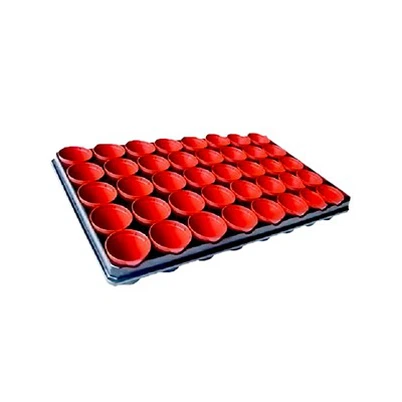 3 colių x 40 PC PP puodai dėkle